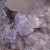 Calcite and Fluorite La Viesca M04585